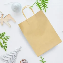 100pcs Christmas Kraft Paper Gift Bags -Christmas Favors Shop 100 Piece Christmas Kraft Paper Gift Bags 3 result 600x600 1