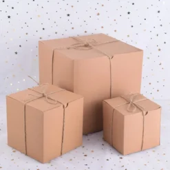 30pcs Christmas Brown Gift Boxes 11 30pcs Christmas Brown Gift Boxes -Christmas Favors Shop 30Pcs Assorted Kraft paper Box Set with Twines Grass 3 Size Twines Grass 4 result 600x600 1
