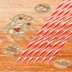48pcs Christmas Candy Cane Ball Point Pens -Christmas Favors Shop 48Pcs Candy Cane Ball Point Pens 6 result 600x600 1